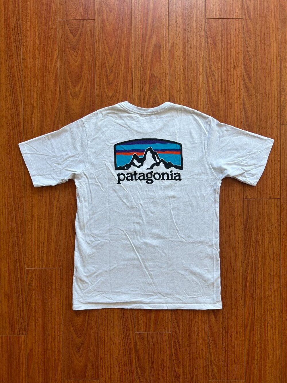 Patagonia Responsibili-Tee (Men's size S)